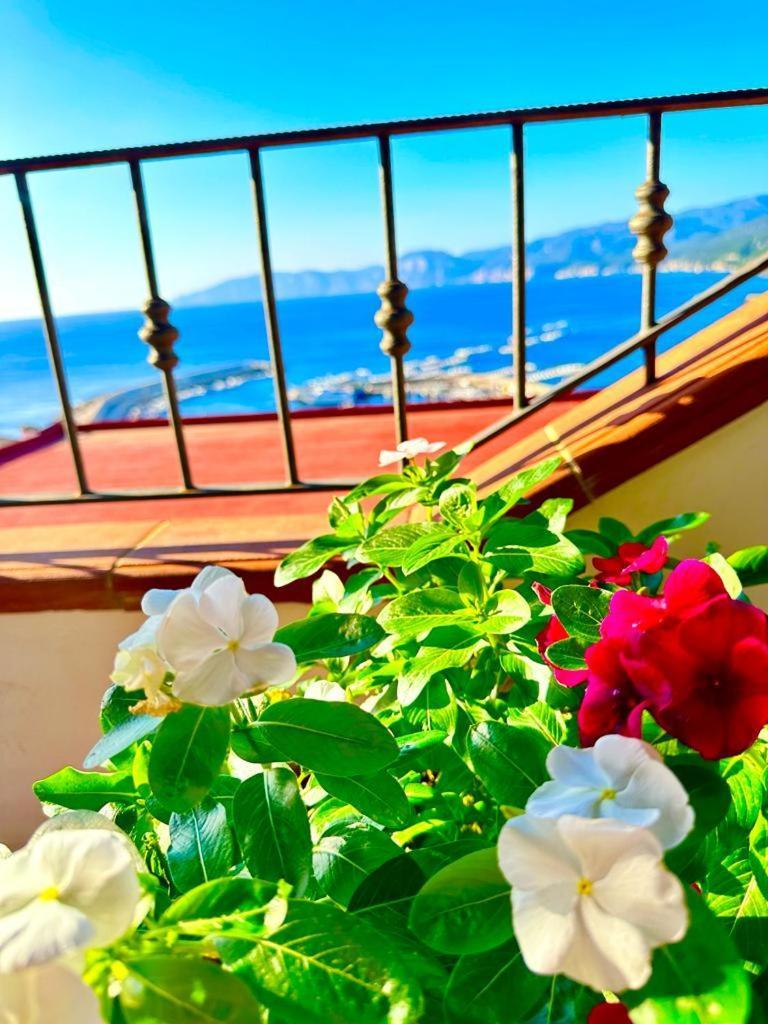 Cala Gonone House Apartment ภายนอก รูปภาพ
